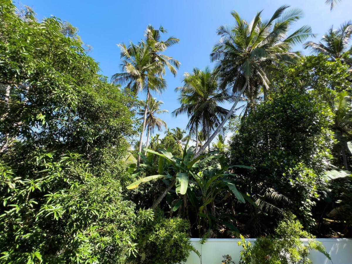 Villa Ema 高尔 外观 照片