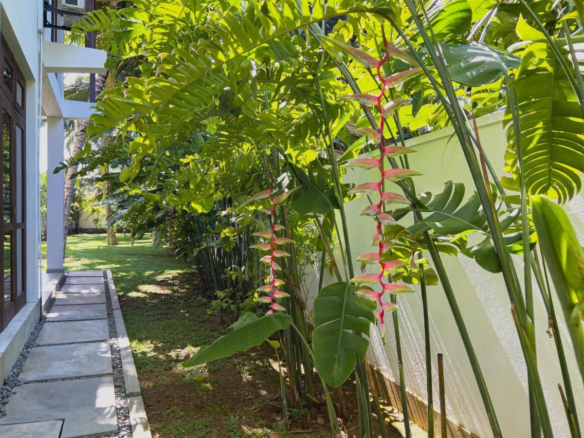 Villa Ema 高尔 外观 照片