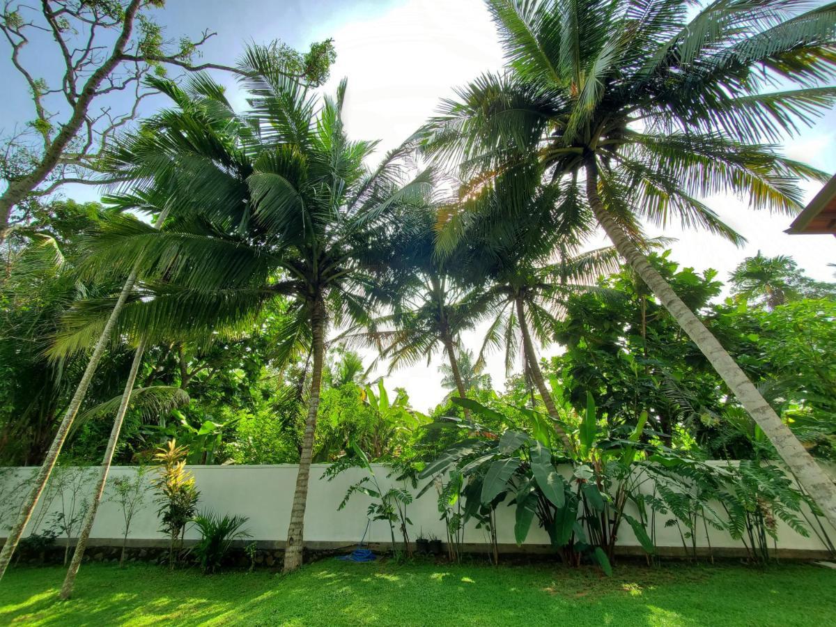 Villa Ema 高尔 外观 照片