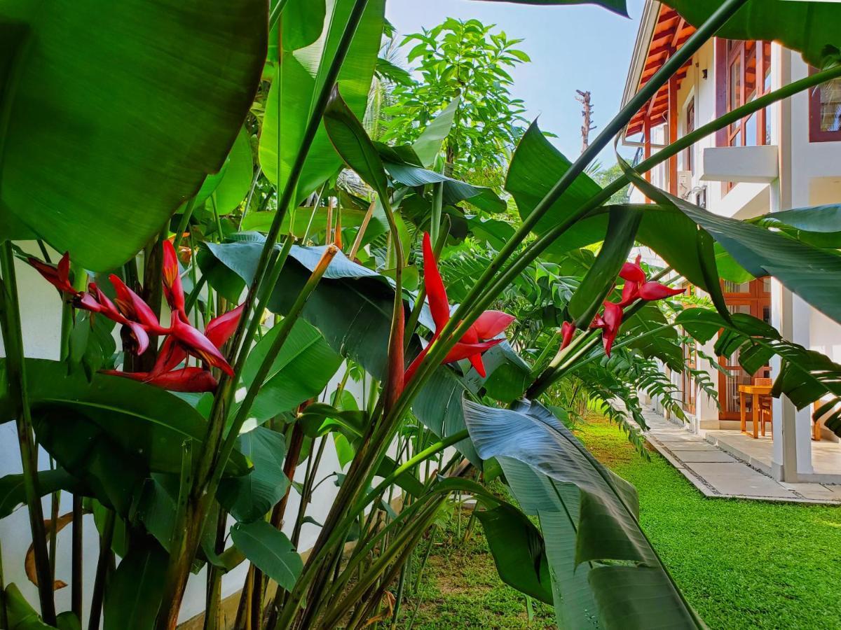 Villa Ema 高尔 外观 照片